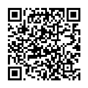 全部都砸在了下载应用程序就给各种各样的火鸡福利上面二维码生成