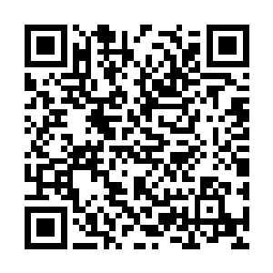 全都是上一次落难到幽魂岛的海殿和海神宫的武者二维码生成