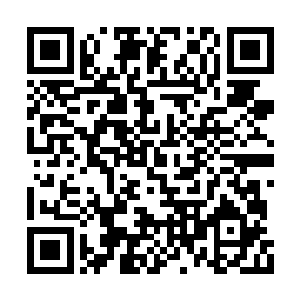 公安局长单世涛也正在和县委书记宗伟阳打电话二维码生成