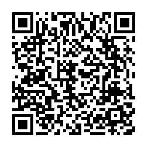 六耳妖猿的优先攻击对象肯定不是趴在了雪地上一动不动的林封谨二维码生成