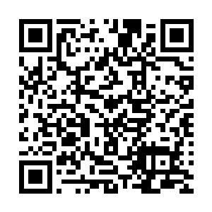 六长老离开佣兵之城的小世界才不到一盏茶的时间便返回此地二维码生成