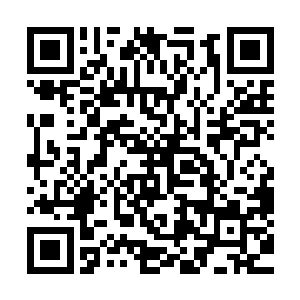 共度时艰的基因永远只铭刻在经受得住千年磨难的民族血脉中二维码生成