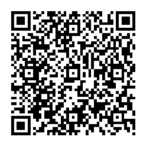 关于你想娶喜臻为侧妃这件事……朕本想等你和月谣姑娘结婚后再告诉你朕的决定的二维码生成