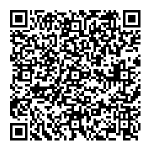 关恒之所以觉得陆为民是有一定竞争力的因为他觉得陆为民在双峰和阜头搞经济工作表现出来的才能已经获得了一致认可二维码生成