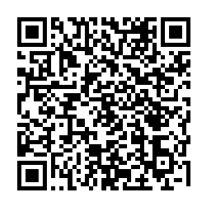 关系到他们缥缈七大势力的生死存亡的九曲灵参应该也是被这群人抢走了二维码生成