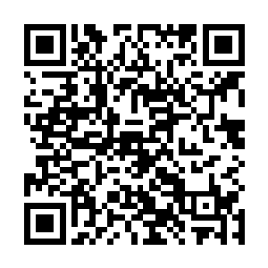 关键在于让陆为民再一次在地委领导们面前出了一次彩二维码生成