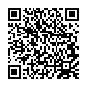 关键是南极老祖的冰焰在无任何异常的情况下突然少了这么多二维码生成