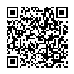 兴你过去给我们分红就不许我们现在给你分红了二维码生成