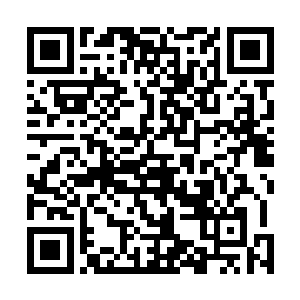 兴高采烈的白九只带着两个熊姑娘回到了流墨墨他们面前二维码生成