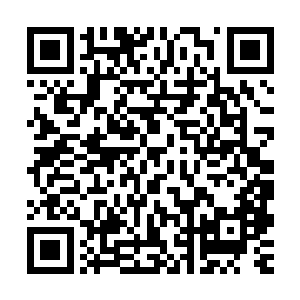 其中一个比较明显的迹象就是来梓城考察的是他们一位常务副总二维码生成