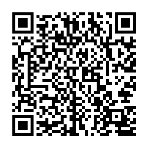 其中一人甚至还掏出了精心准备的本打算对付长爪刀猴的树刺暗器二维码生成