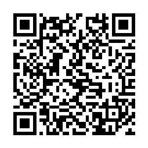 其中一位参加过上一次古玉仙城开启的老者开口了二维码生成