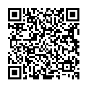 其中和普通魔兽最大的区别就在于它们可以吞服同类产生进化二维码生成