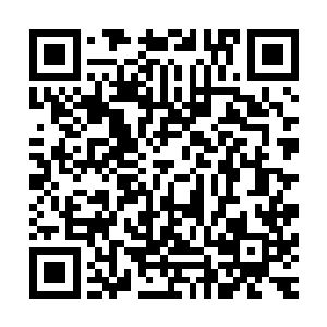 其中圣地只有族长以及那些在族内担任职位管理的金鲨能进出二维码生成