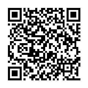 其中最盛产的便是五行灵草中的黄琼枝和血琼枝二维码生成