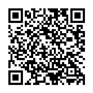 其中的生灵分为土生土长的寰宇神族和外来者……二维码生成