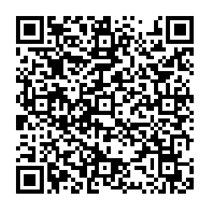其主要的目的就是想在内门就近看看夏桀知道了他的矿脉被抢光了之后暴跳如雷的样子二维码生成