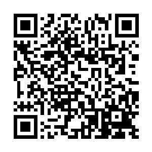 其他不认识他们的白衣婢女们则是惊疑不定的打量着他们二维码生成