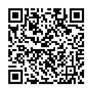 其他人其实是很难分辨她和其他小孩子有什么地方不一样的二维码生成