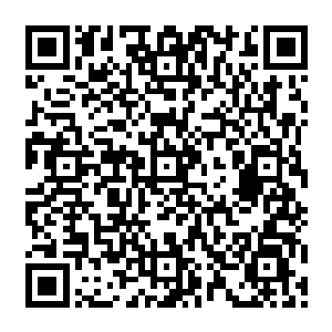 其他人都平均分配到的直接粗暴的用包袱皮包成一个大包裹的桂田仙人真面无表情的看着他二维码生成