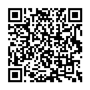 其他几位毒龙会的兄弟也下意识的就打算去拔枪二维码生成