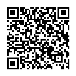 其他几大家族巴不得自己的儿子什么的可以取到艾薇儿回家呢二维码生成