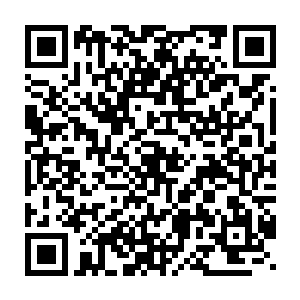 其他制药公司或许会以为我们的动物实验遇到什么极其糟糕的情况二维码生成