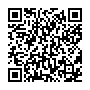 其他势力在得到杨念二爷爷的消息之后再一次搜查起杨家的下落二维码生成
