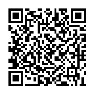 其他的城市几乎都不会去管修士争斗之间的死活二维码生成