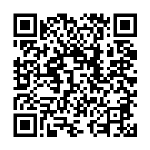 其他经纪人目前没有动作是因为他们都在顾忌朗一梅耶二维码生成