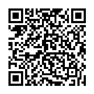 其余的金鲨根本对流墨墨一直蹲房间的行动乐见其成二维码生成