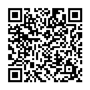 其原因的根本是在于他们的精神世界从小就比许多人富饶二维码生成