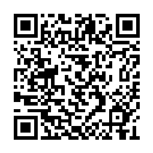 其它世家倒是未必敢在李家地盘上抢李家的战舰二维码生成