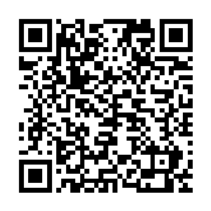 其它医生和那些娇贵的助手学生们都把旅行袋交给了前面军人二维码生成