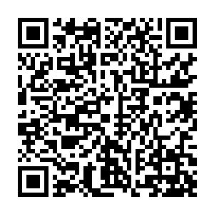 其它十颗星球上的修士都是暗影成为了天璇盟之后或威逼或利诱的各个家族二维码生成