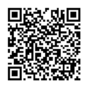 其实不指望你们人人都有张巨鹿这样的胸襟和眼界二维码生成