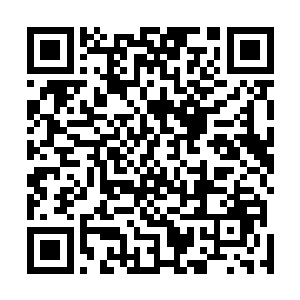 其实他在看清楚吴泛涵手机里无意中抓拍到的那张照片时二维码生成