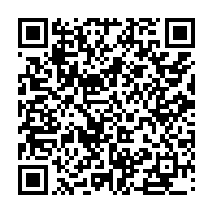 其实你们林家让谁去参加幕府大比直接让他们两人比试一番不就知道了吗二维码生成