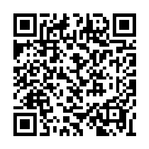 其实却也只是远古万族榜上龙族的分支血脉而已二维码生成