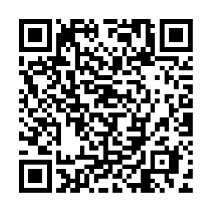 其实名剑等人此刻看代离举动就知道了一级密室就是第11密室二维码生成
