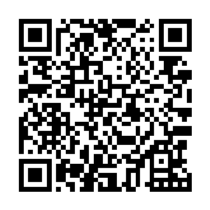 其实在跟着地二十一他们进来后就已经没有退路了不是么二维码生成