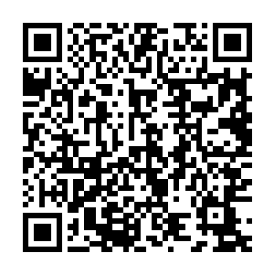 其实如果不是高扬他们的枪和装备什么的都被送到了西西里公主号上二维码生成