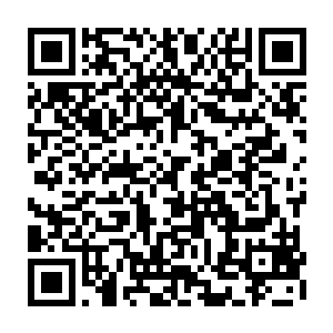 其实就已经明白了今天的事情其实是老白故意让他们出面攻击这些国际杀手的二维码生成