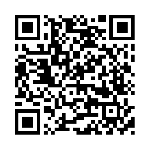 其实很大的目的也是为了试探一下林放的反应二维码生成