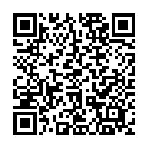 其实我最讨厌钢琴……你知道我小的时候幻想自己将来做什么吗二维码生成