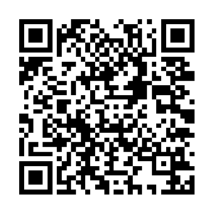 其实换句话说就是确定盈利的项目你们很难拿下来二维码生成