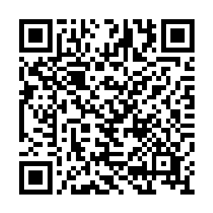 其实是为了在东南亚寻找一家最大的橡胶供应商二维码生成