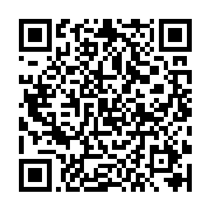 其实是因为我们几个殿堂还有几位逆天强者没有出世二维码生成