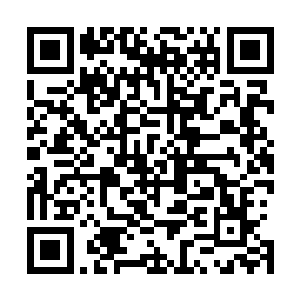 其实林大夫跟谭继之没有关系了只怕日子还要过的安稳一些二维码生成