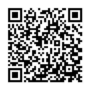 其实若是血妖姬们的记忆中没缺失关于萌星一族的信息二维码生成